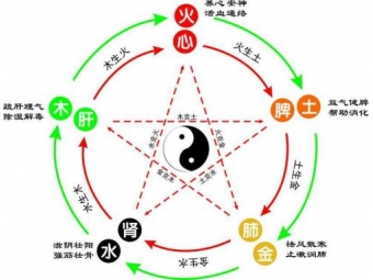 什么情况下才需要补肾，专家建议不虚不要补