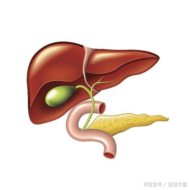 男人窝