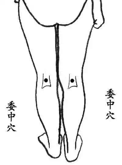 男人窝