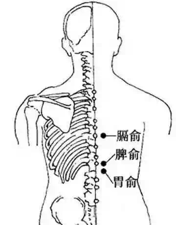 男人窝