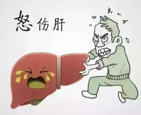 男人窝