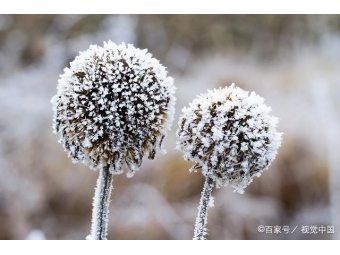 你的体质该如何在冬季养足阳气？
