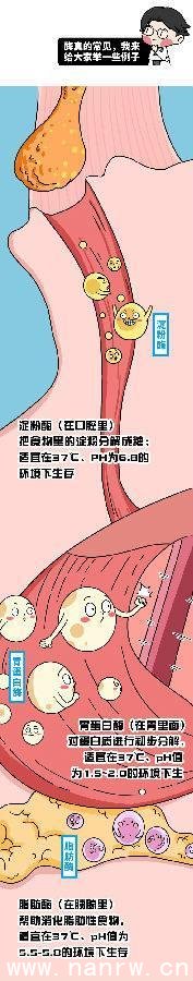 男人窝