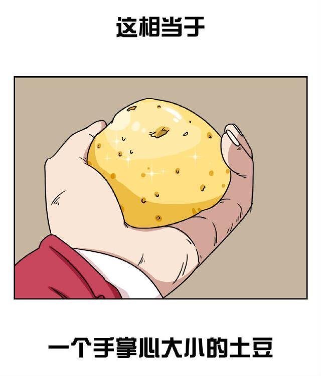 男人窝