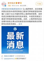 双黄连可抑制新型冠状病毒？专家：提高免疫力做好防护才最靠谱