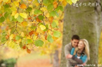 男人一年不做正常吗